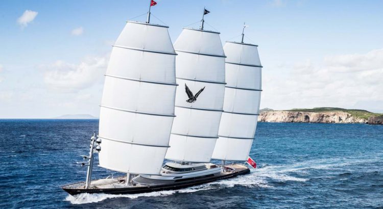 Maltese Falcon