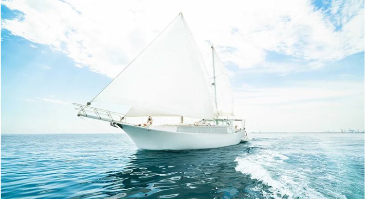 Fran Silvestre Arquitectos has converted a fishing schooner into a modern sailboat