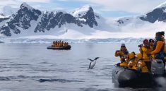 In Antarctica, a penguin jumped into a boat with tourists