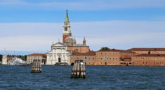 Dolphins spotted in the waters of Venice