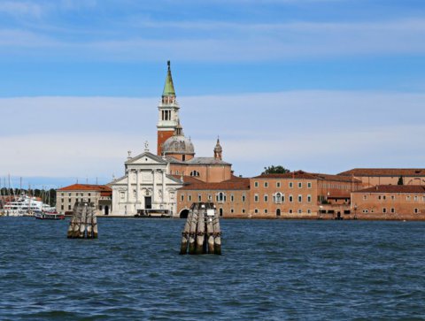 Dolphins spotted in the waters of Venice