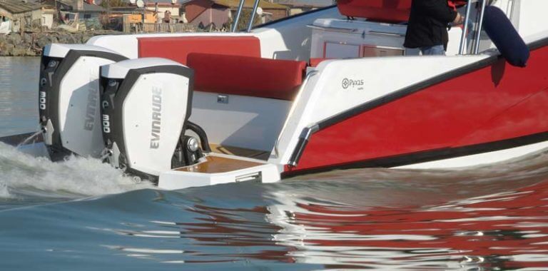 Pyxis Yachts P 30WA - Evinrude